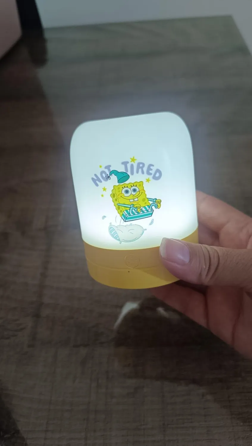 Erik LED Lampe Nachtlicht touch USB-C