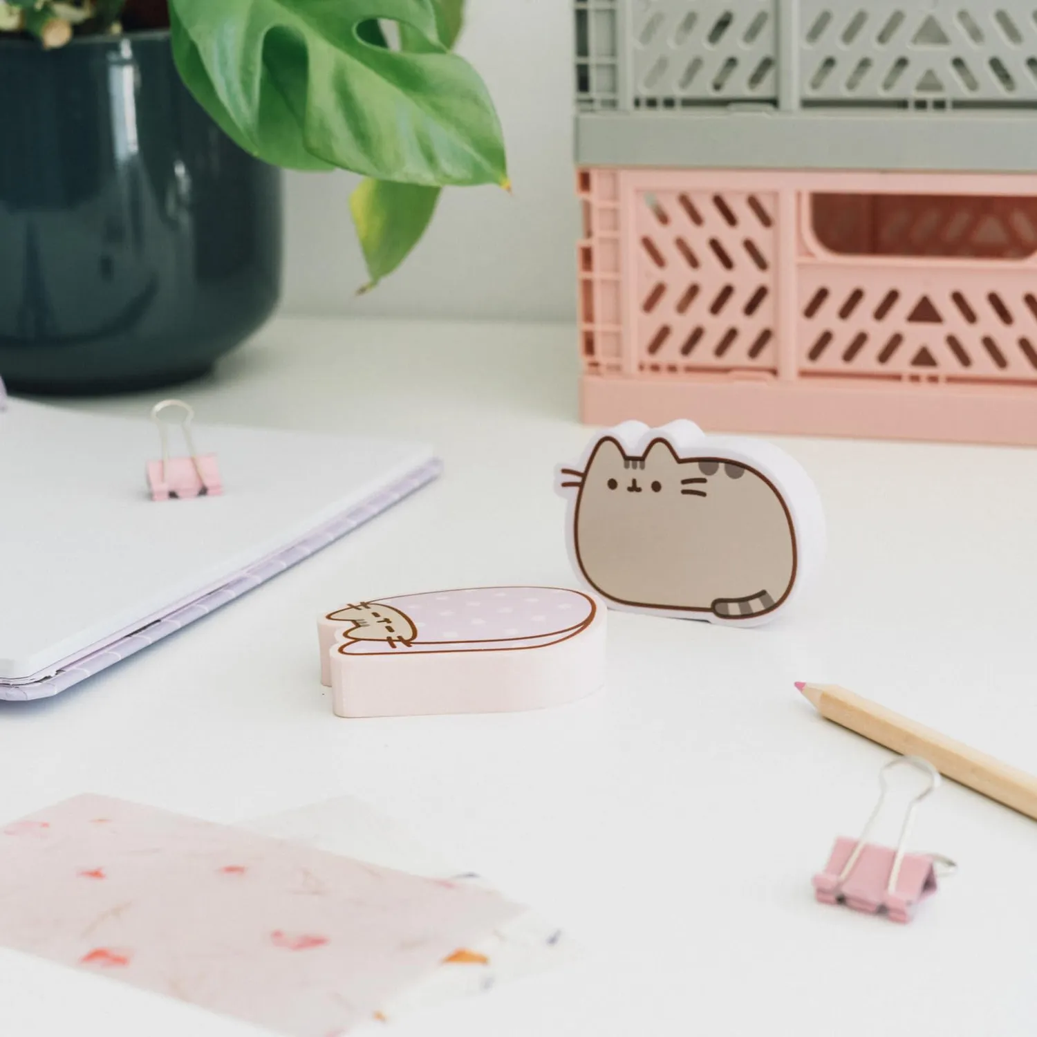 Erik Pusheen Radiergummis 2er Set Jumbo