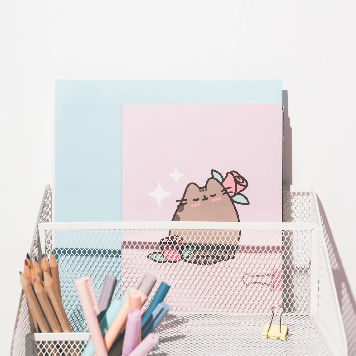 Erik Pusheen Notizbuch 3er-Set liniert dotted blanko