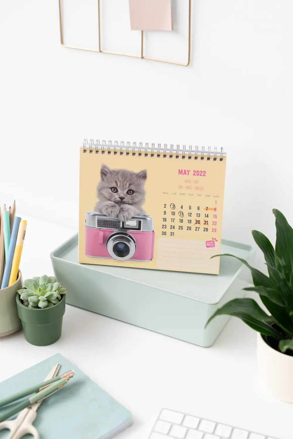Erik Studio Pets CS22012 Tischkalender 2022