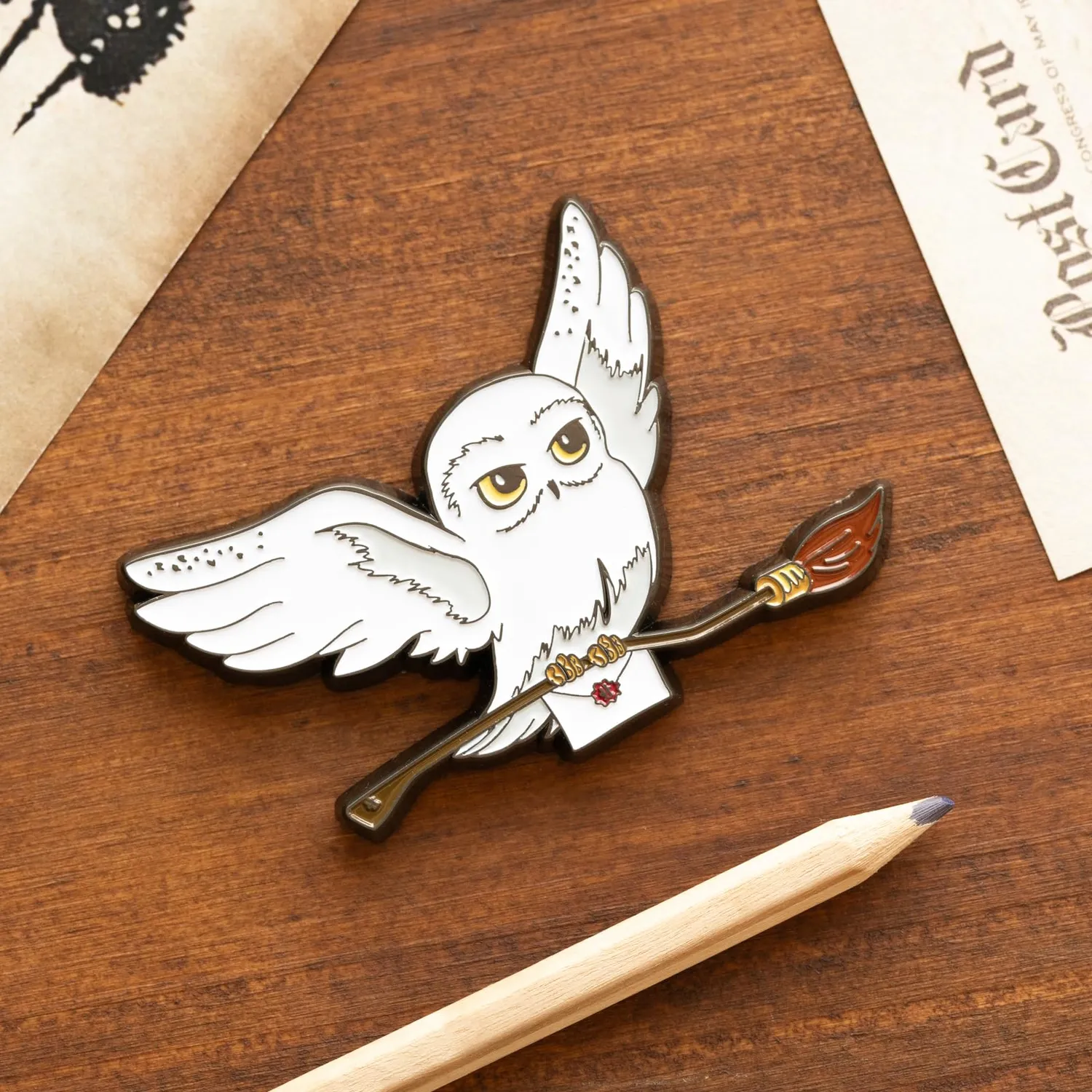 Erik Harry Potter Hedwig Kühlschrankmagnet 7 x 7 cm