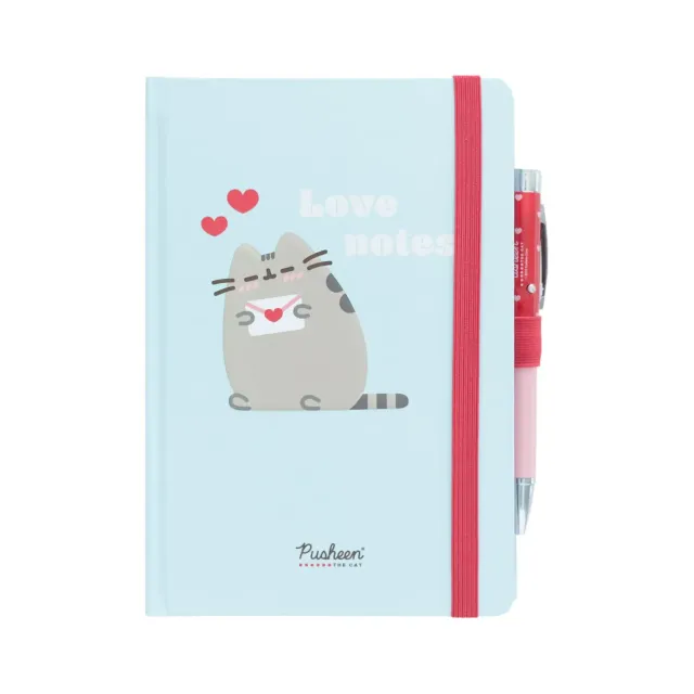 Erik Pusheen Notizbuch A5 offizielles Lizenzprodukt
