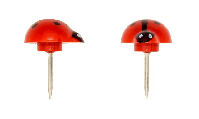 TSI K3T Pinnwandnadeln Marienkäfer 30er-Pack