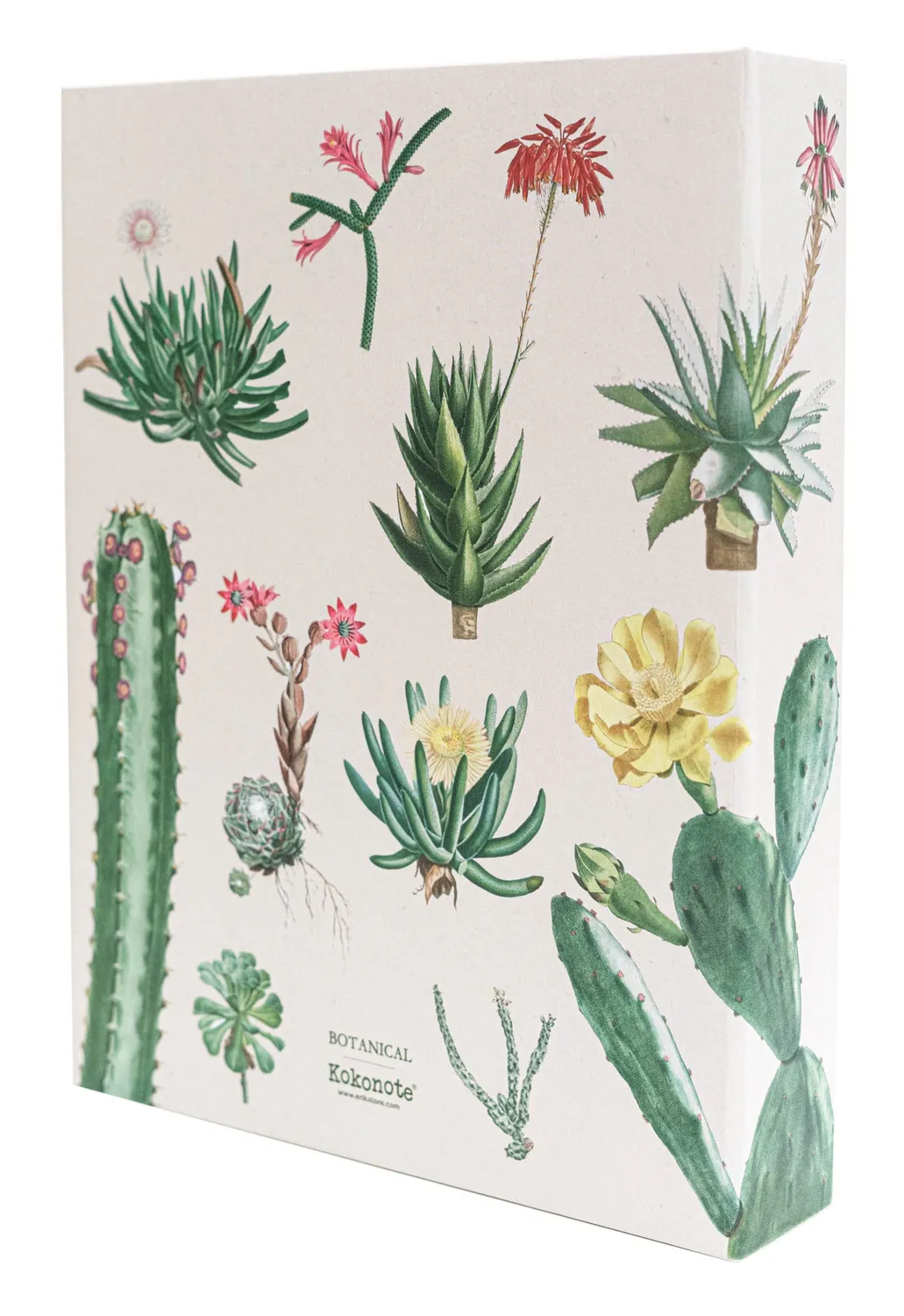 Erik Botanical Cacti Fotoalbum Einsteckalbum 13 × 20 cm 200 Fotos