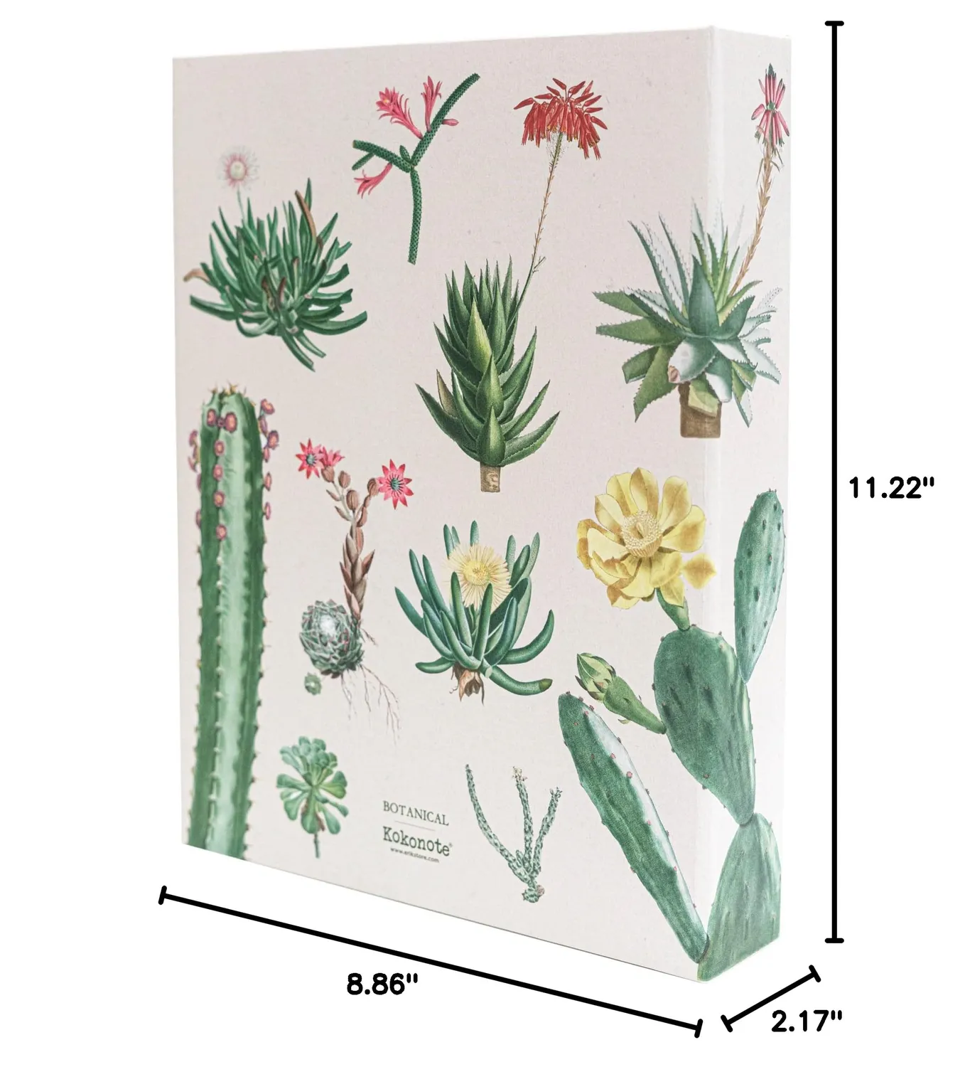 Erik Botanical Cacti Fotoalbum Einsteckalbum 13 × 20 cm 200 Fotos