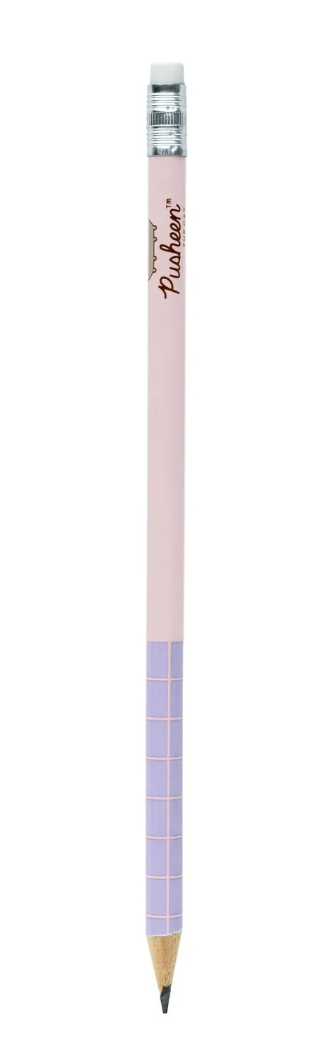 Erik Pusheen Moments Notizblock magnetisch 10x21cm 65 Blatt