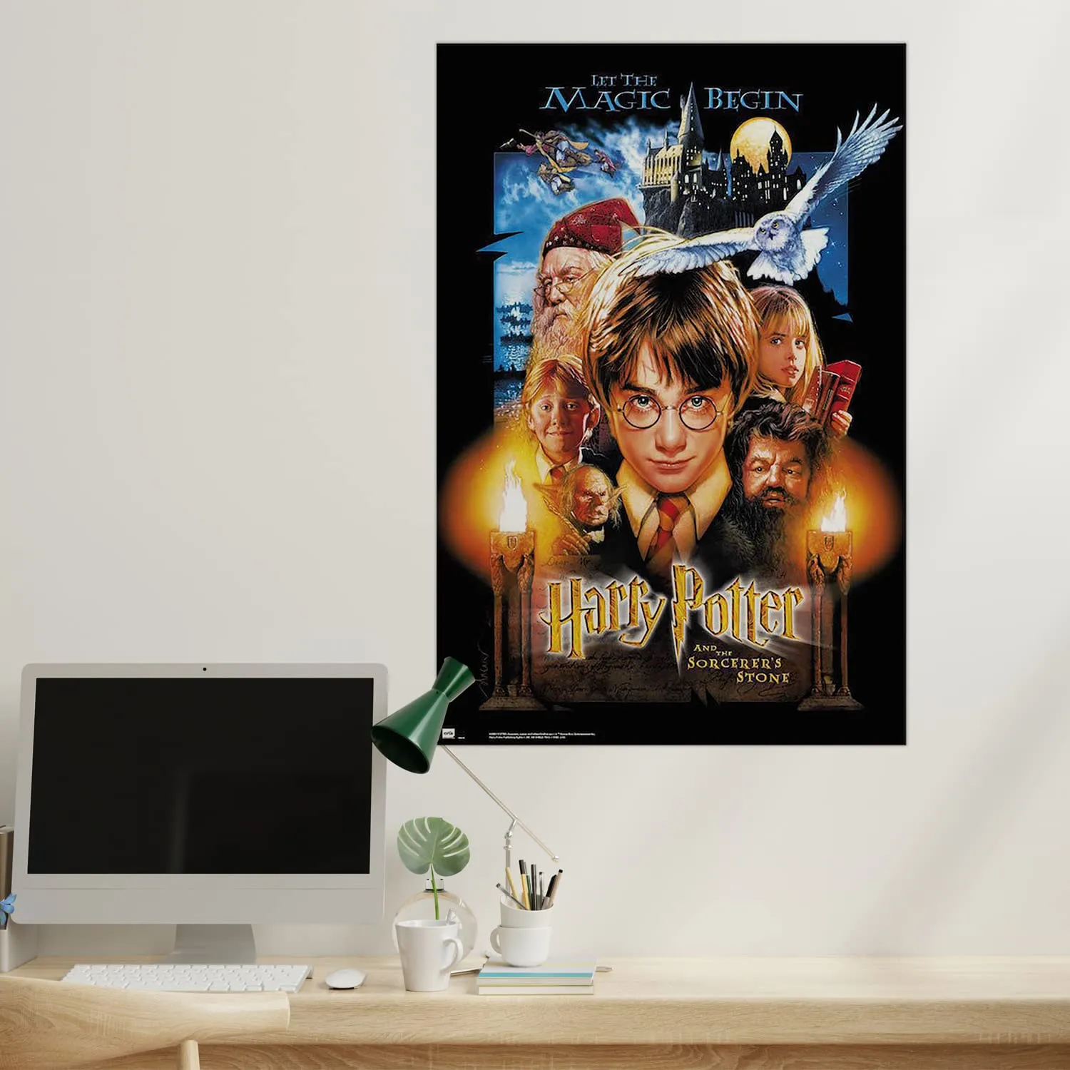 Erik Harry Potter And The Sorcerers Stone Maxi-Poster 61x91,5 cm