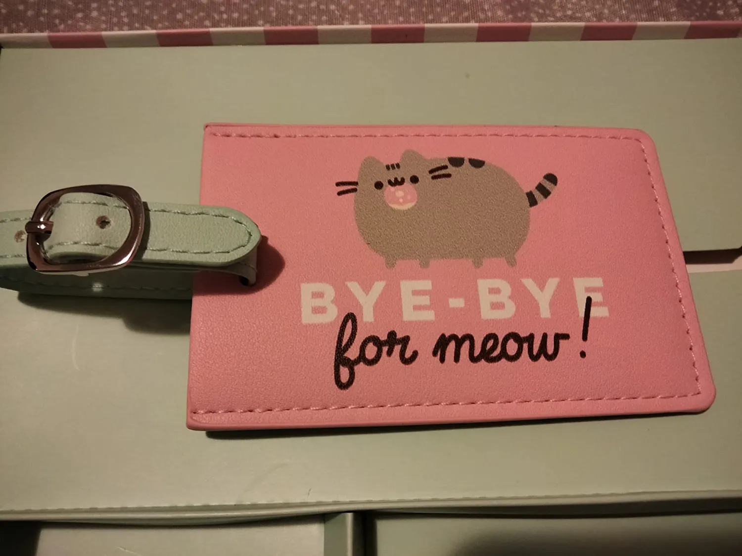 Erik Pusheen Reisepasshülle mit Gepäckanhänger Leder-Set