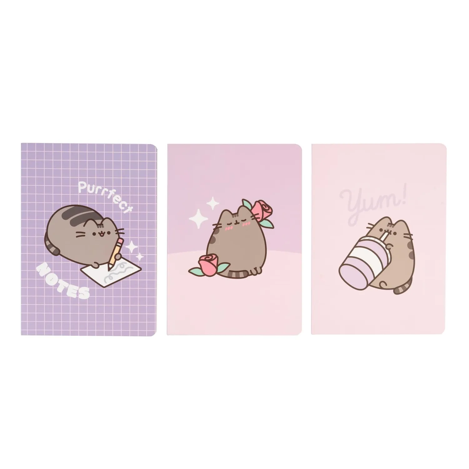 Erik Pusheen Notizbuch 3er-Set liniert dotted blanko