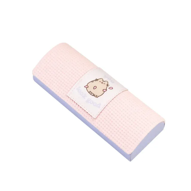 Erik Pusheen Cat Brillenetui Hartschale mit Mikrofasertuch