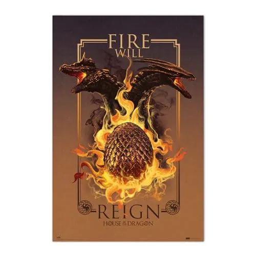 Erik House of the Dragon Fire Will Reign Poster 61x91,5 cm