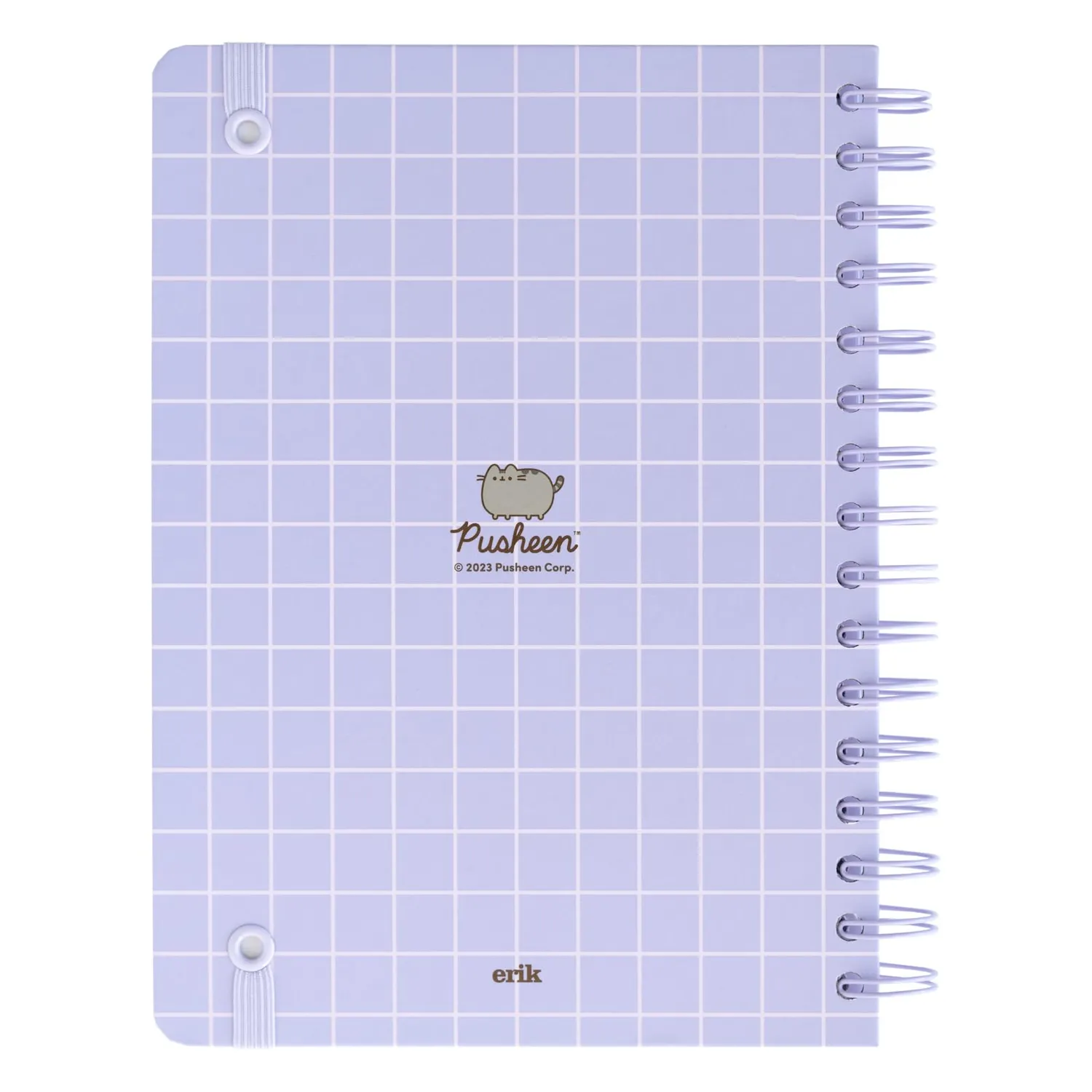 Erik Journal Notizbuch A5 dotted 90 Blatt