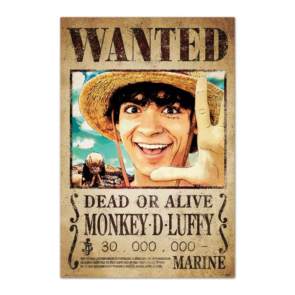 Erik One Piece Wanted Poster 61x91,5 cm