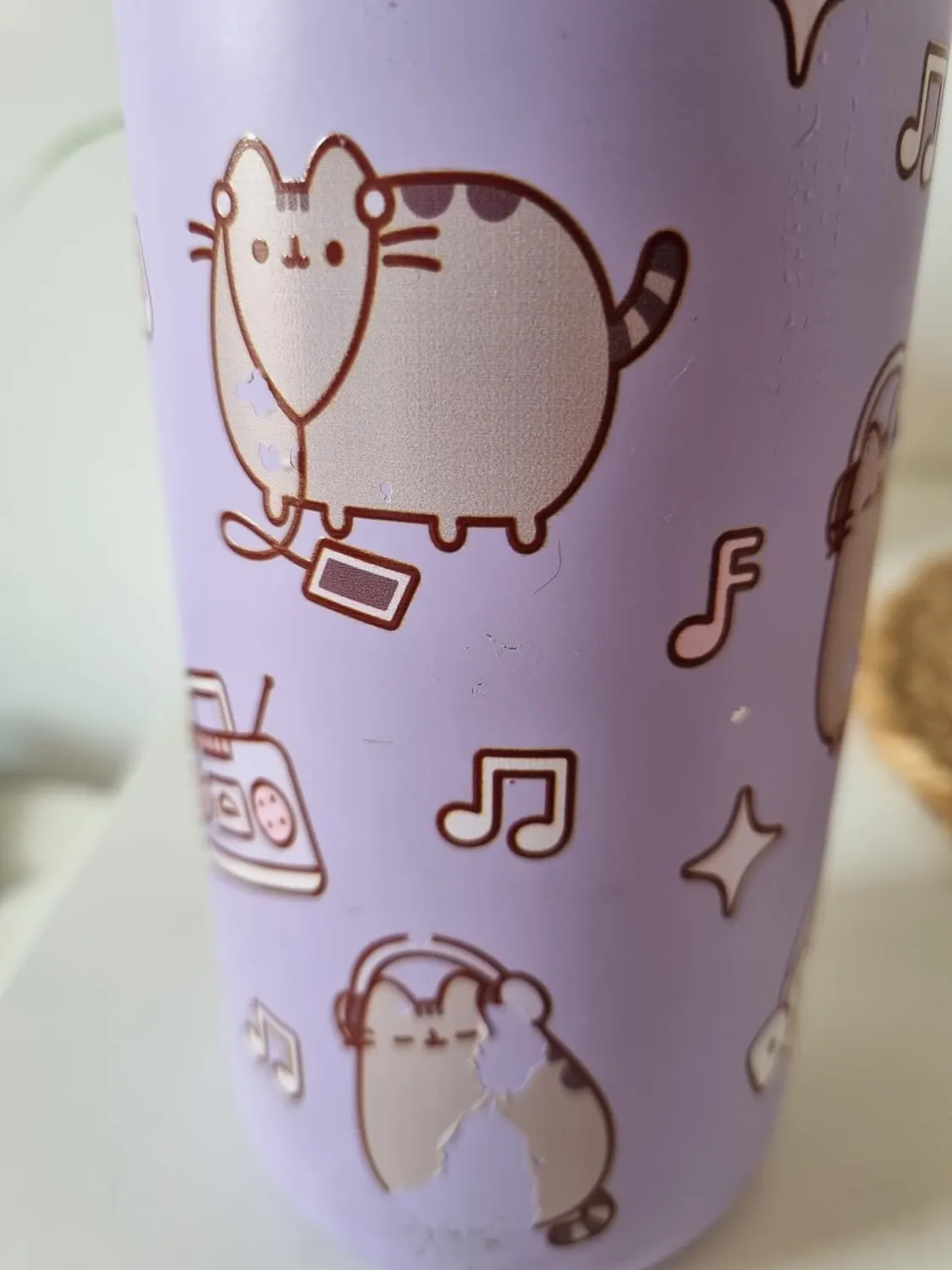 Erik Pusheen Foodie Collection Trinkflasche Edelstahl 500ml