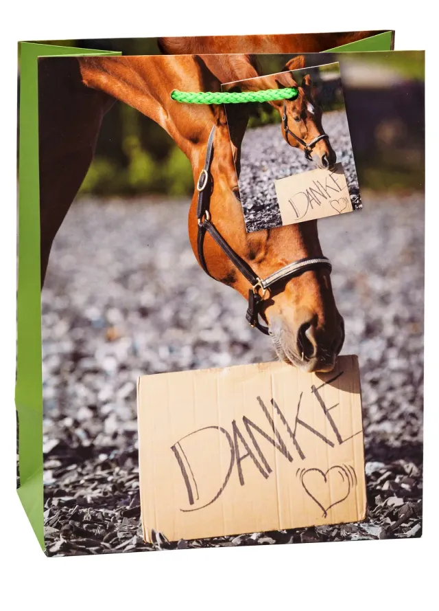 TSI Danke Geschenktüten 3er Mittel A5 Recycling-PP