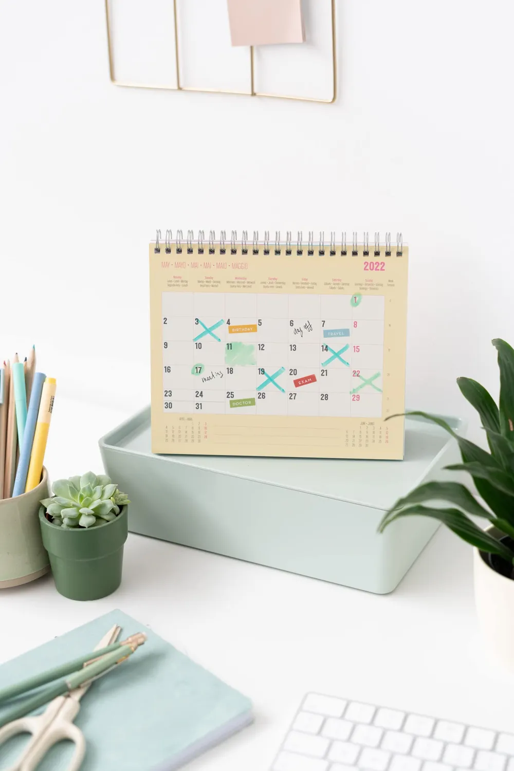 Erik Studio Pets CS22012 Tischkalender 2022