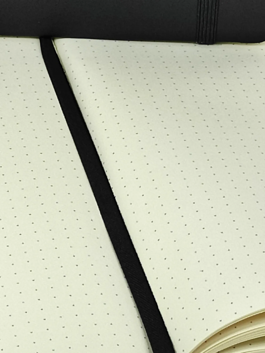 RHEITA Bullet Journal DOTS 120 Blatt schwarz PU