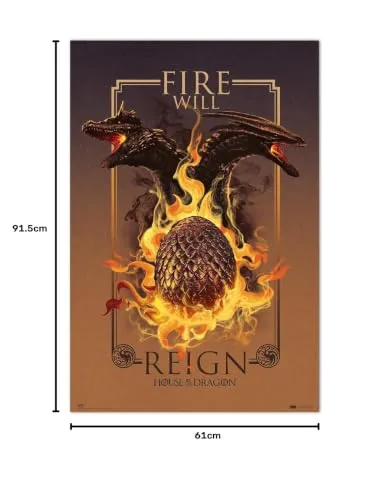 Erik House of the Dragon Fire Will Reign Poster 61x91,5 cm