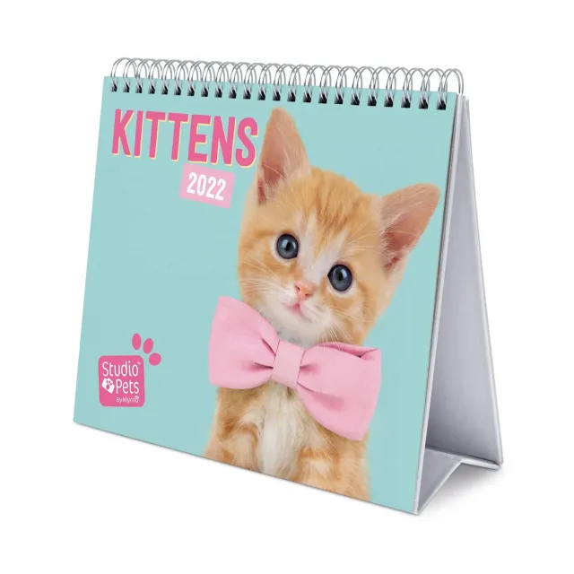 Erik Studio Pets CS22012 Tischkalender 2022