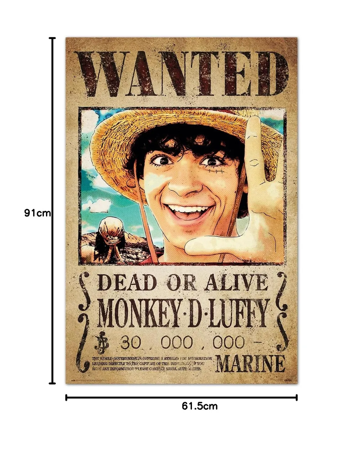 Erik One Piece Wanted Poster 61x91,5 cm