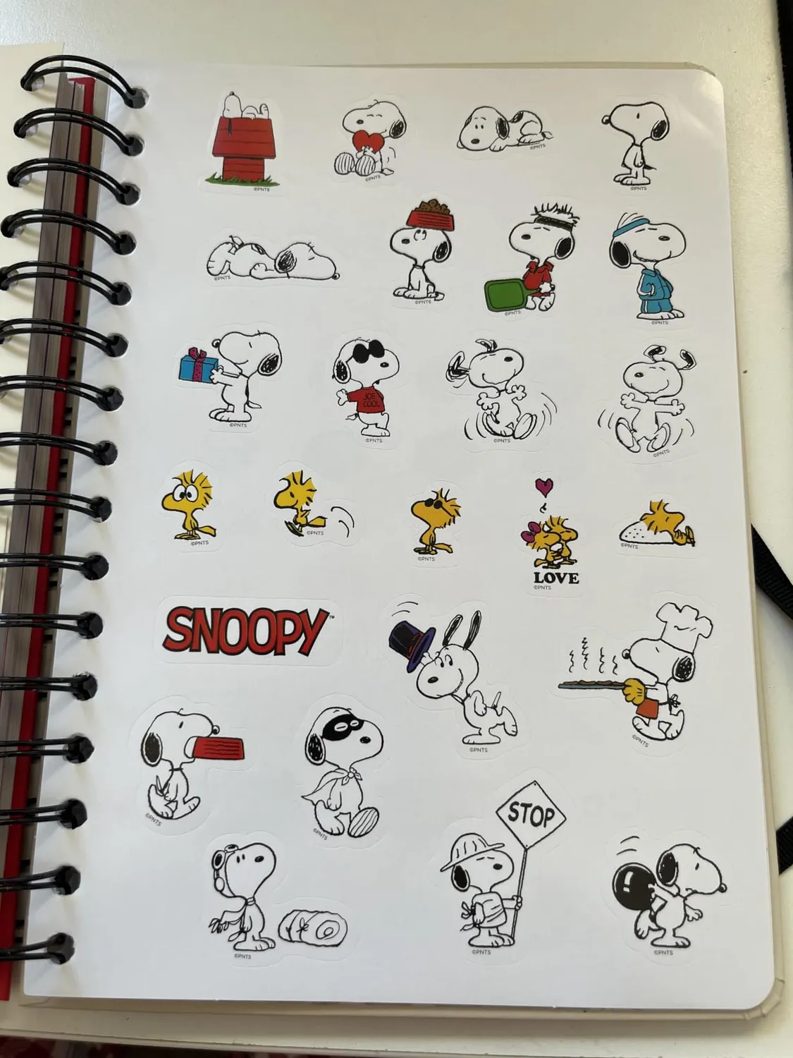 Erik Peanuts Snoopy Hausaufgabenheft A6 2026-2027