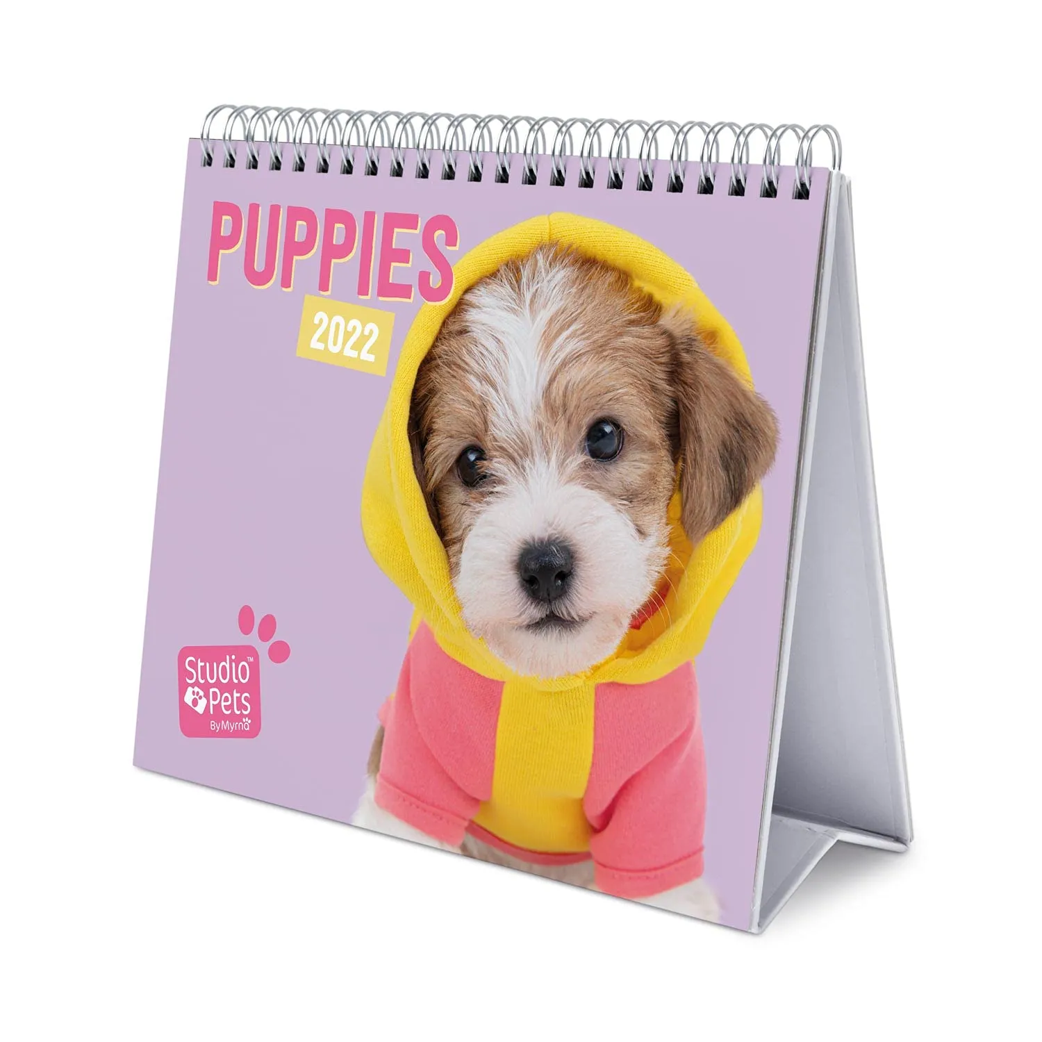 Erik Studio Pets CS22012 Tischkalender 2022